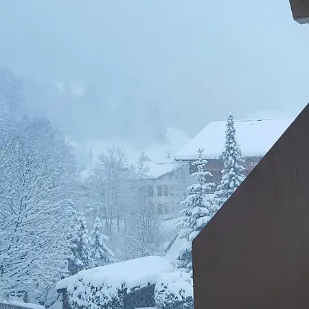 Haus Dienten 11 Apartament *