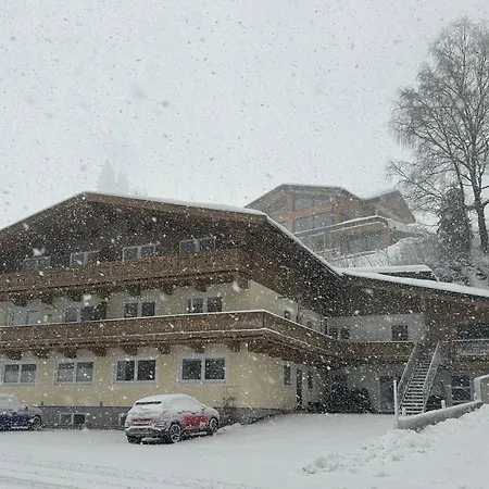 Haus Dienten 11 Dienten am Hochkönig